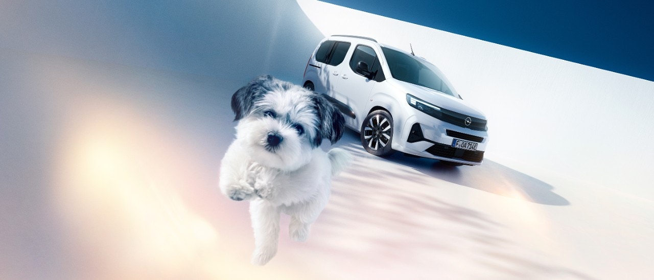 Pogled s prednje strani na bel Opel Combo Electric in psa
